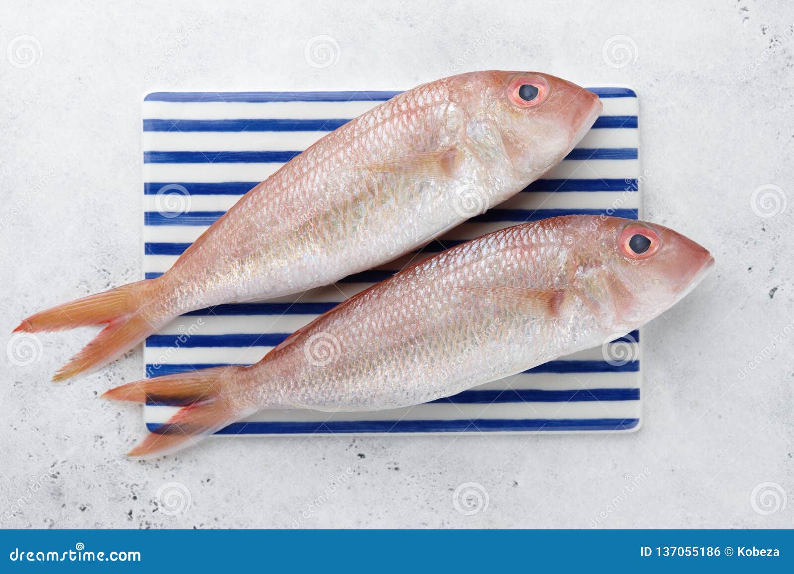 Fresh Red Mullet Fish On Striped Plate Stock Photo Image