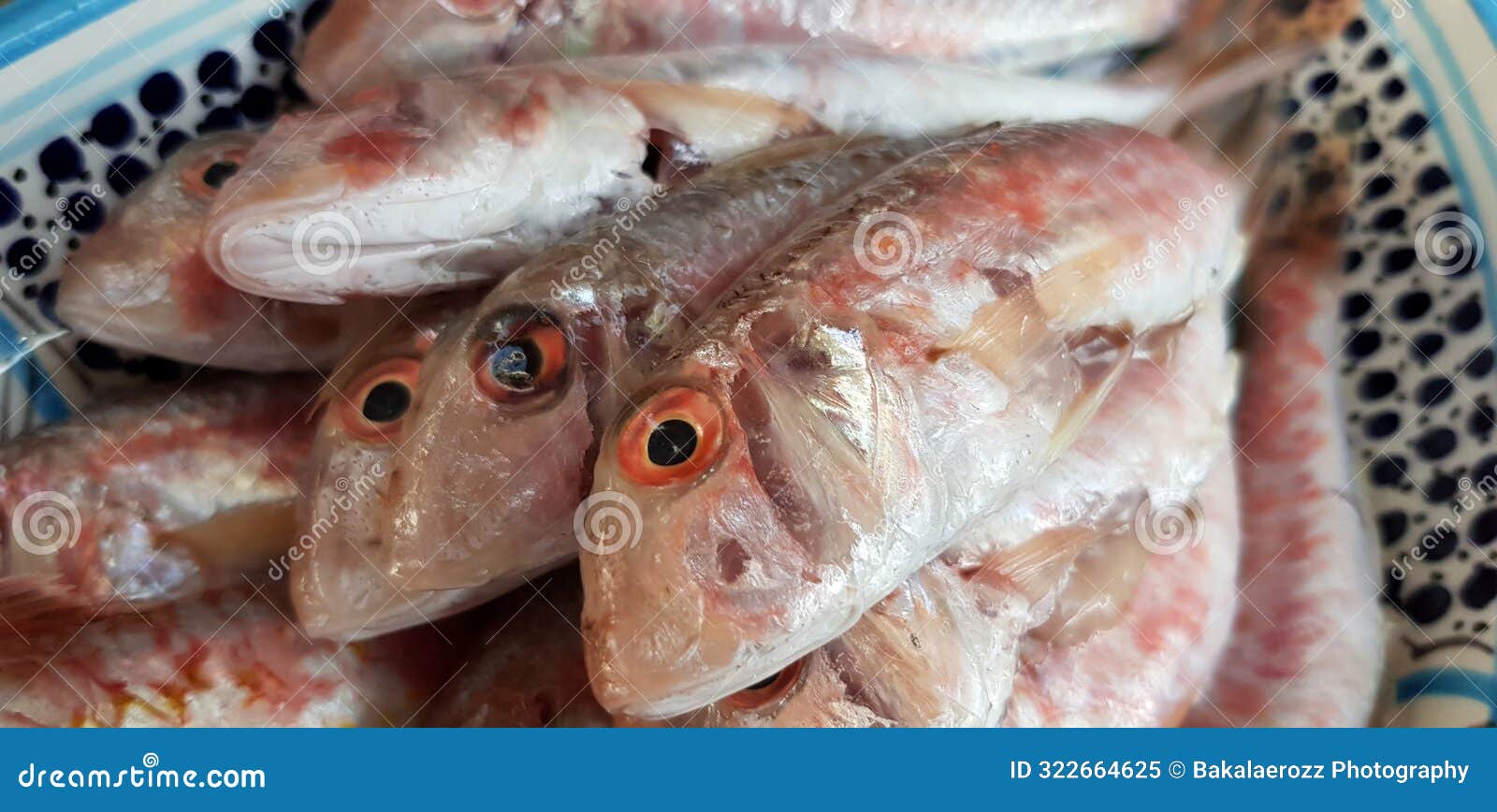fresh red mullets fishes stacked in a row on ice trays at the market stock instant prints background high quality downloads