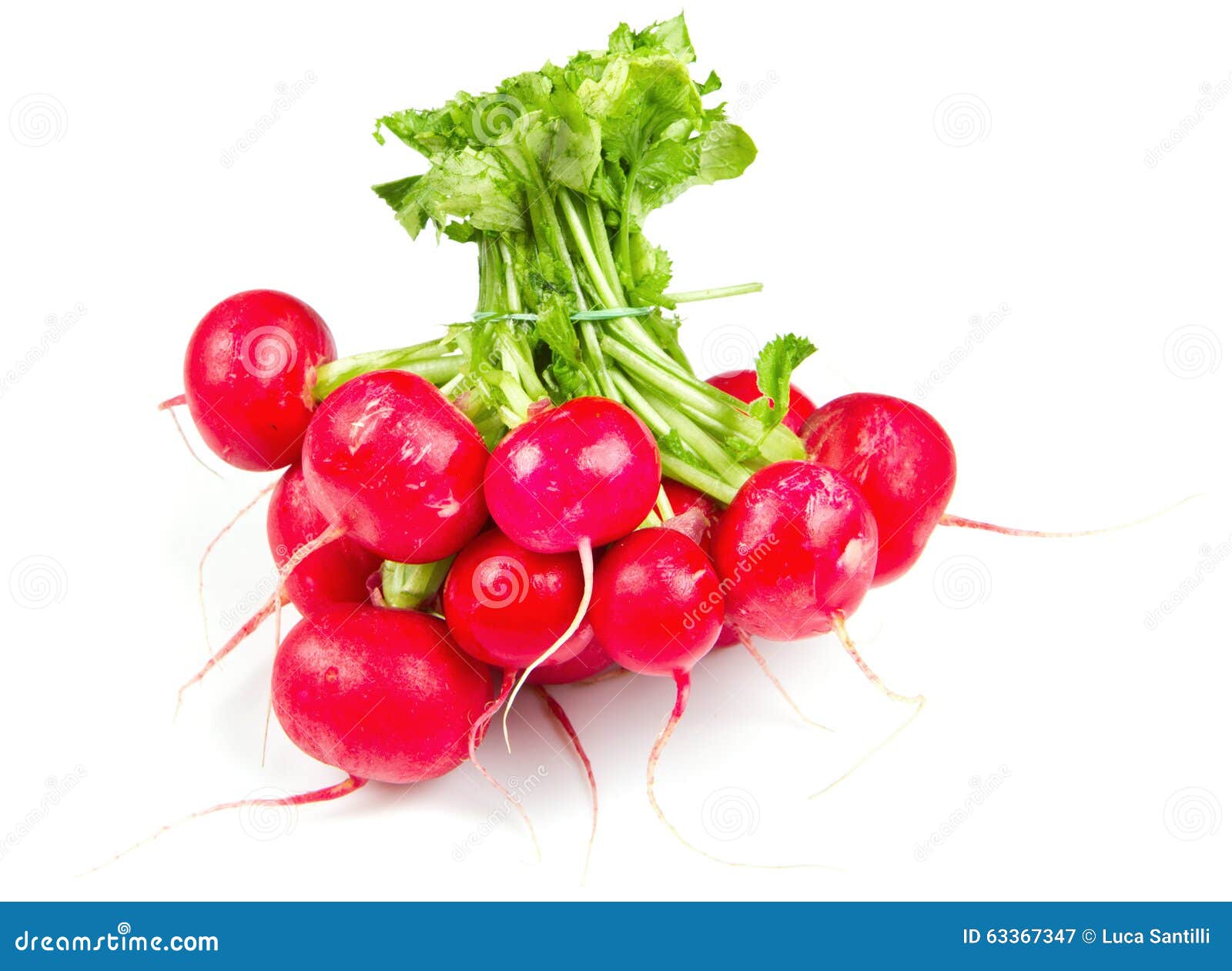 Fresh red radish stock image. Image of group, ingredient 63367347