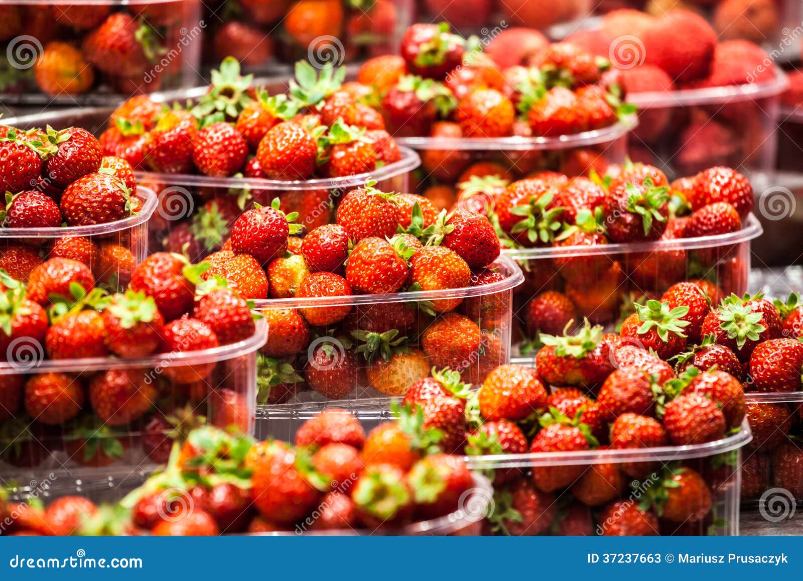 Fresh, Red Strawberries at a Local Farmers Market in Barcelona Spain