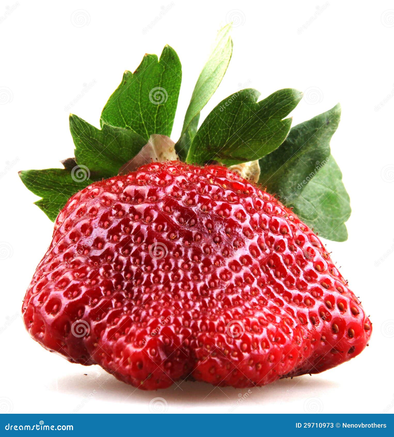 Fresh red strawberry stock image. Image of fruits, crops - 29710973