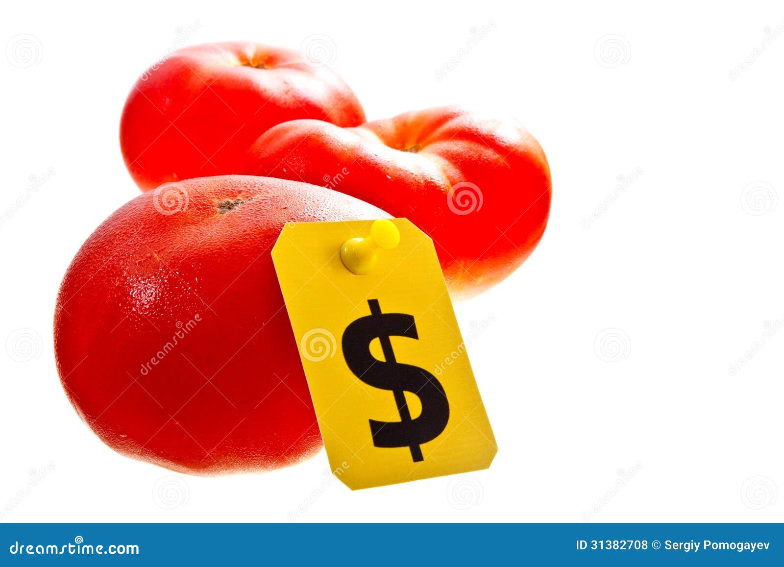 Fresh Red Tomatoes for Dollars Stock Photo Image of market, water