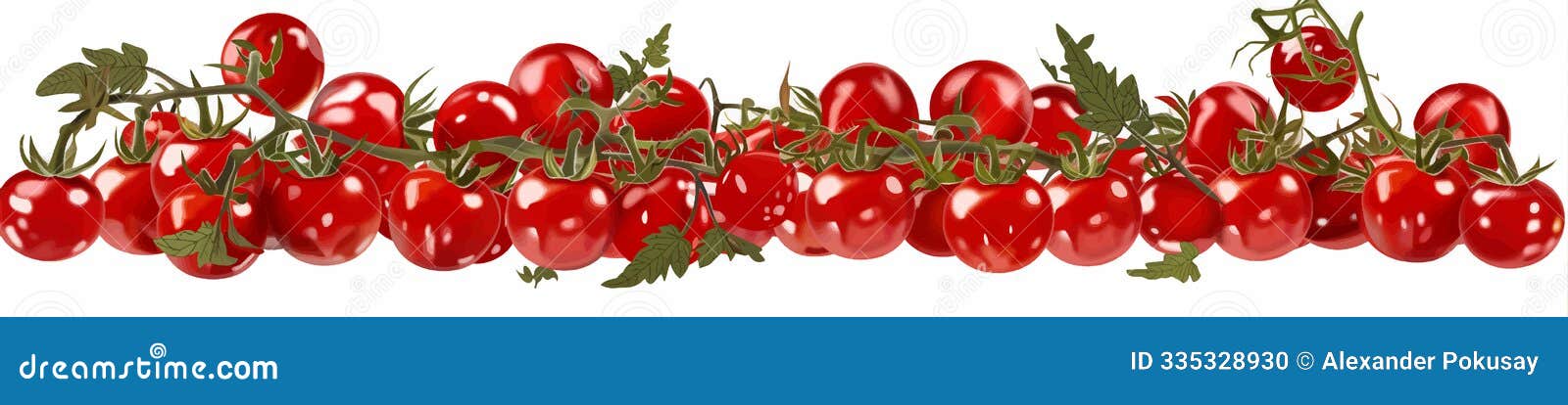 fresh red tomatoes on vines green leaves 