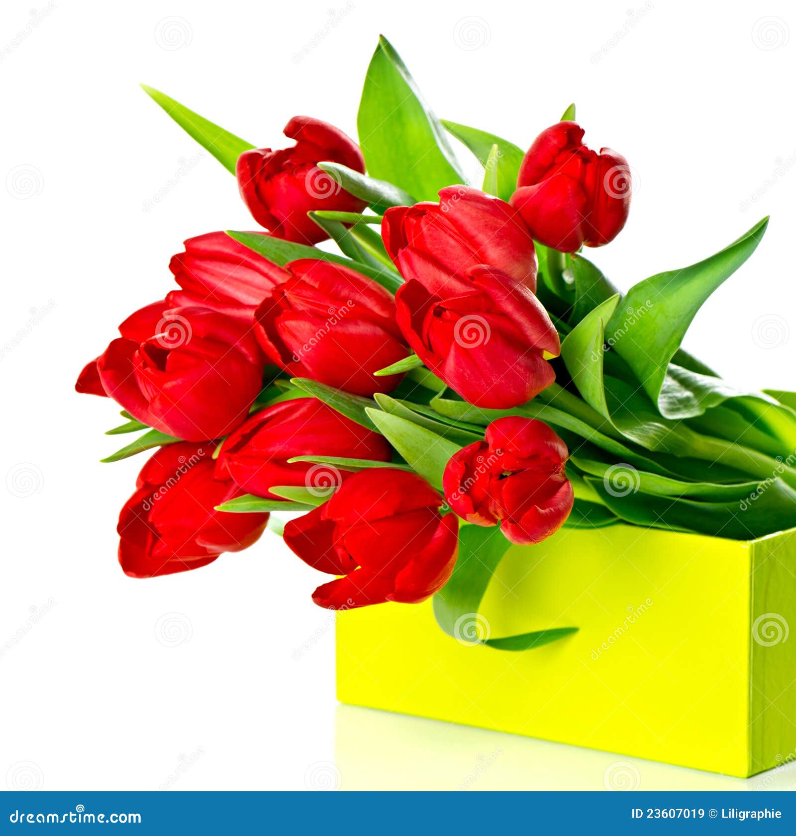 Fresh Red Tulips In The Green Gift Box Stock Image Image of bouquet