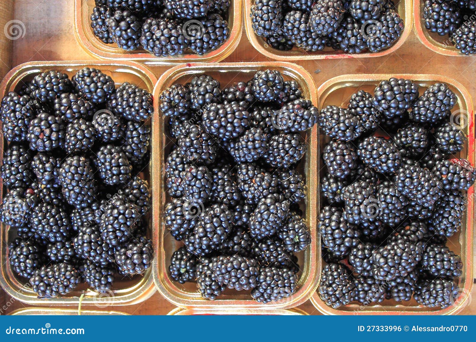 Fresh ripe blackberries stock photo. Image of bouquet 27333996