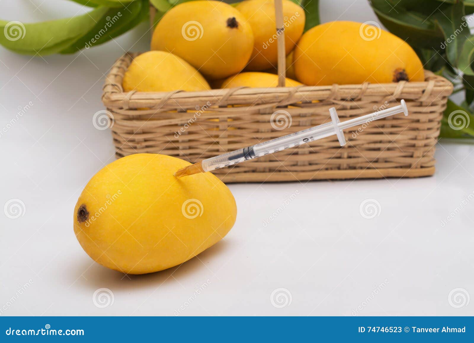 fresh ripe chaunsa mangoes with syringe and basket on white