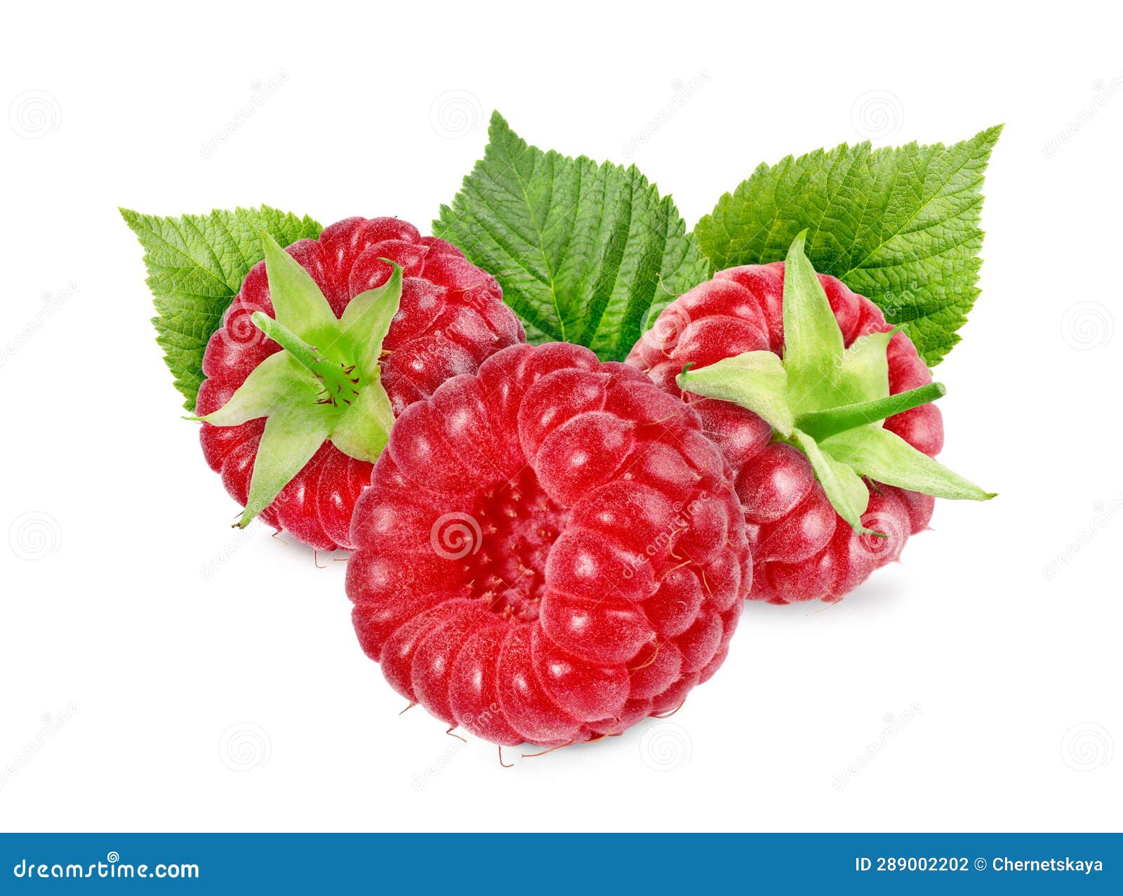 Fresh Ripe Raspberries with Green Leaves Isolated on White Stock Photo