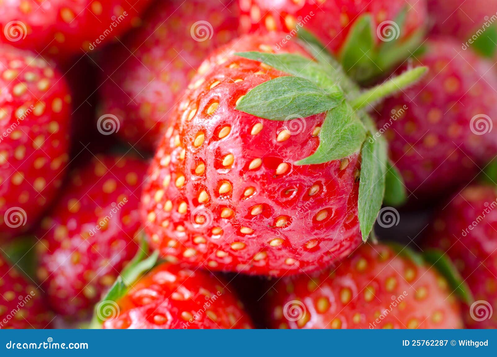 Ripe Strawberries Macro Fresh Ripe Strawberries Macro Stock Image Image Of