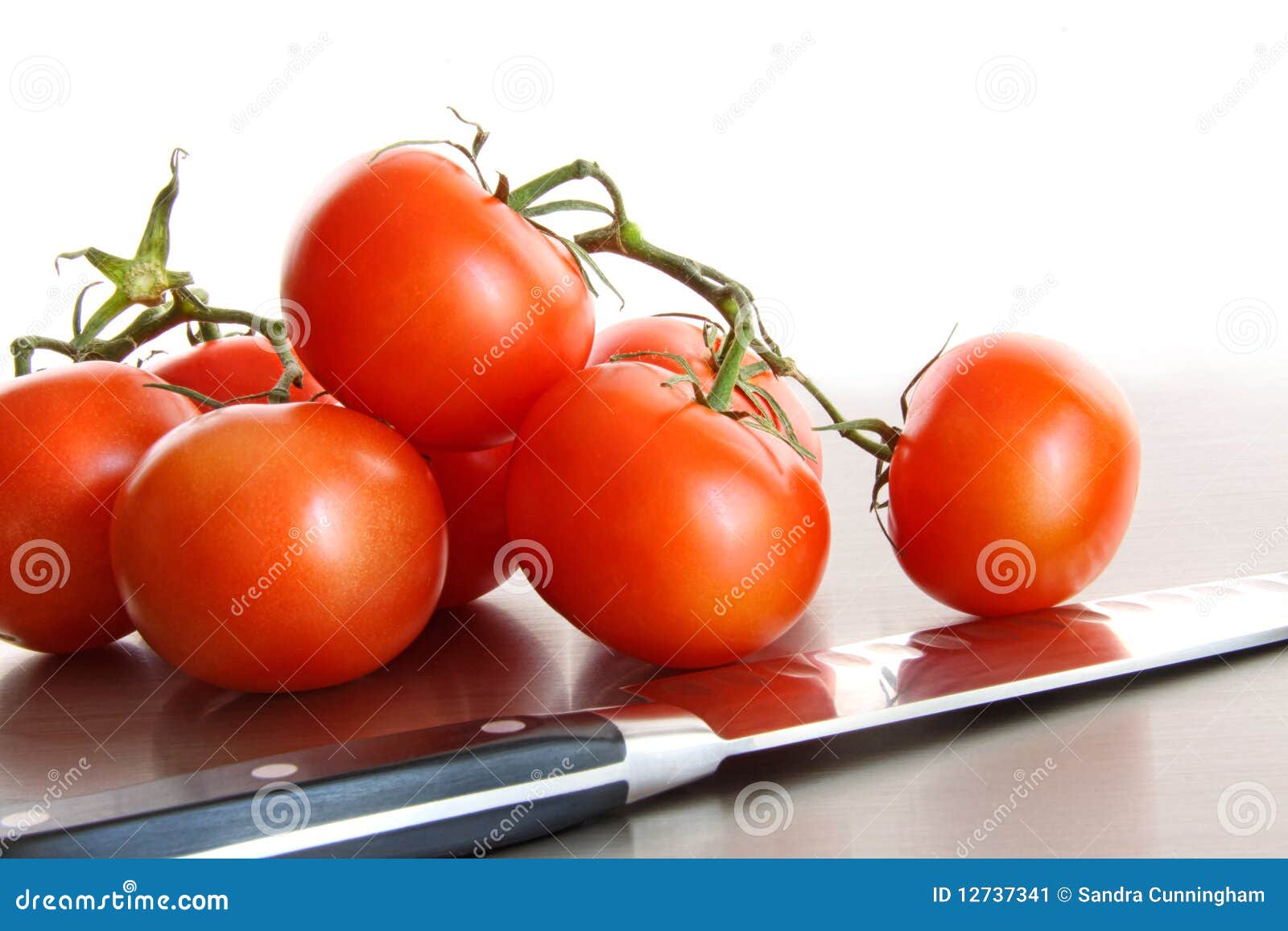 Fresh Ripe Tomatoes on Stainless Steel Counter Stock Image Image of