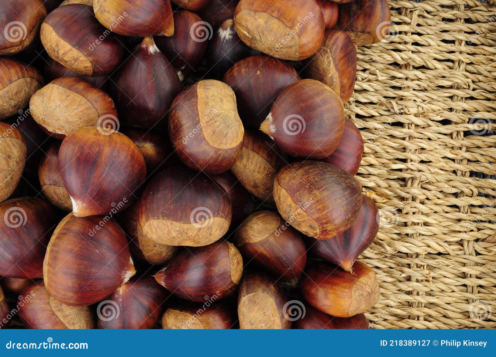 Spanish Chestnuts in Shells Stock Image Image of uncooked, seeds