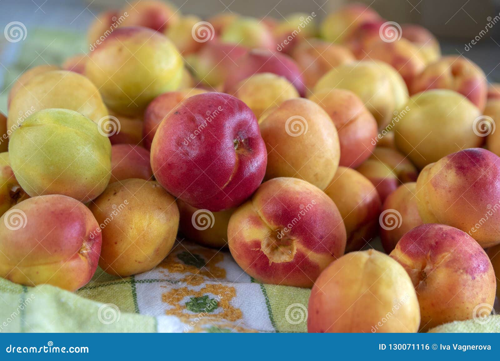 Fresh Ripened Apricots On Kitchen Towel In Daylight Edible Tasty
