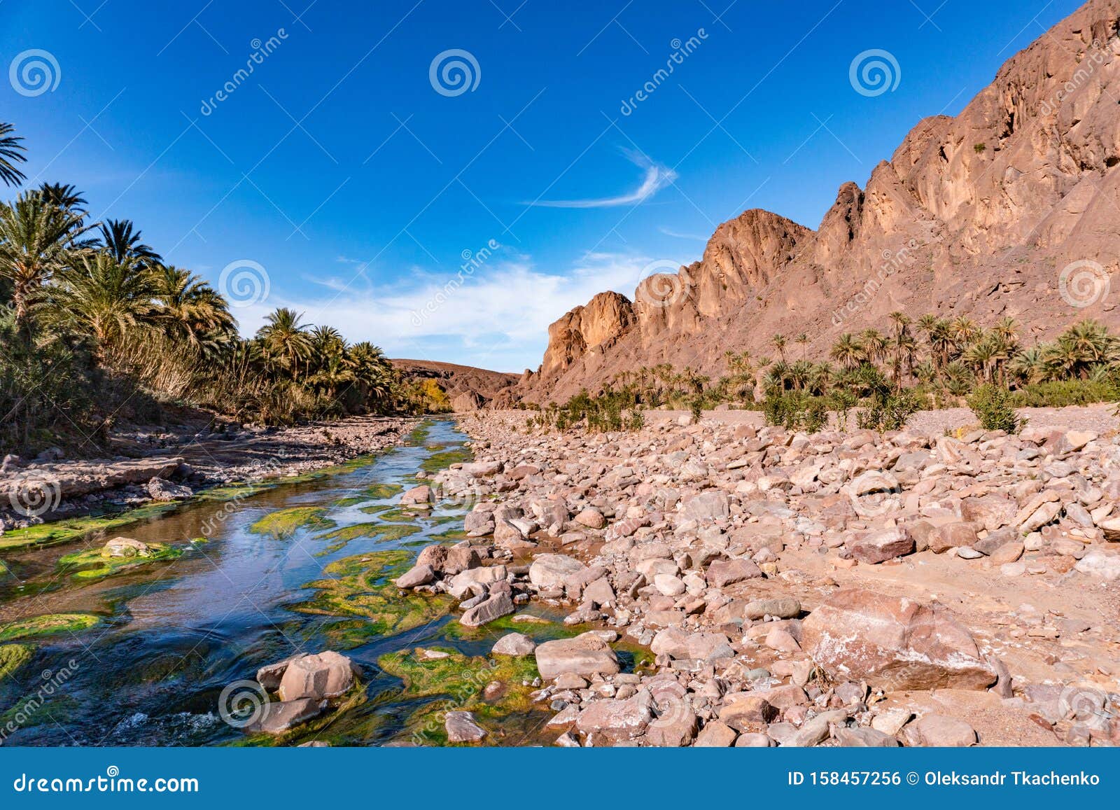 River in Beautiful Desert Oasis Nature Landscape in Oasis Fint Near Ourzazate in Morocco, North Africa Stock Photo - Image of africa, park: 158457256