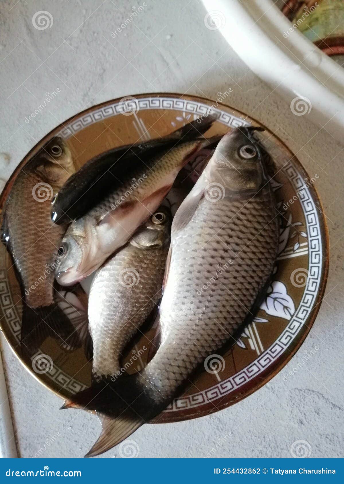 Fresh River Fish on the Table before Processing Stock Photo Image of forest, foreground 254432862