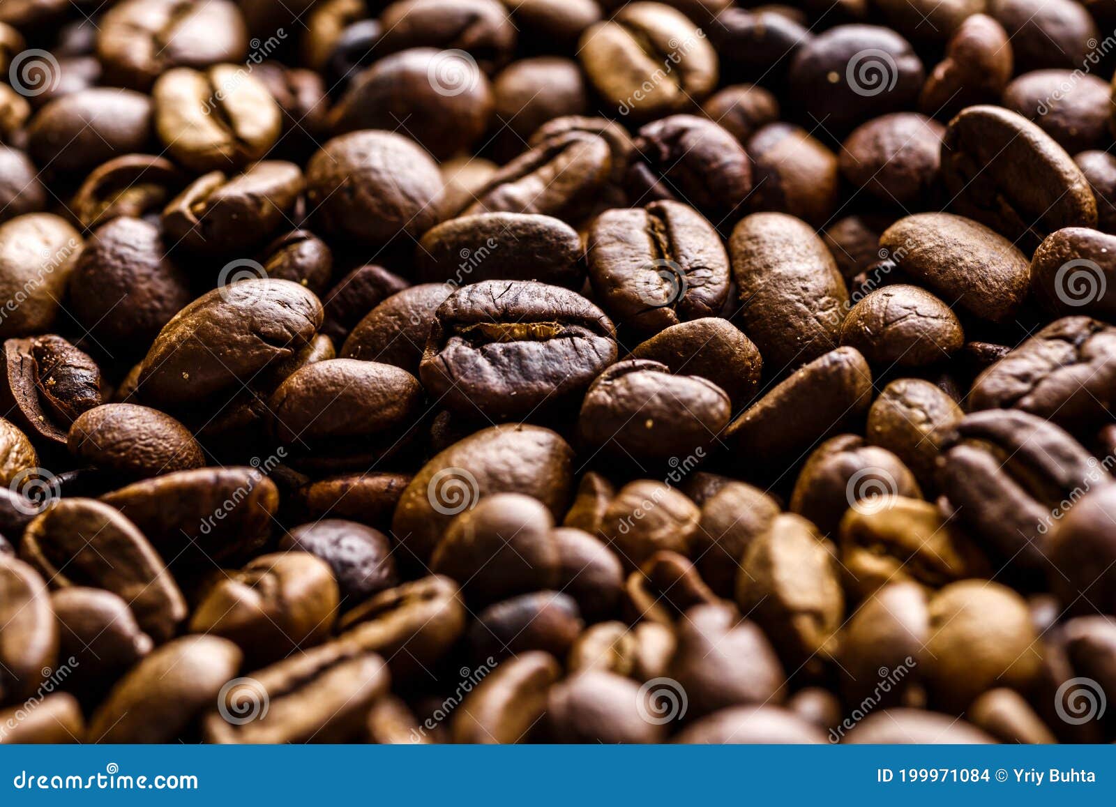 Fresh Roasted Coffee Bean Background. Background of Roasted Coffee