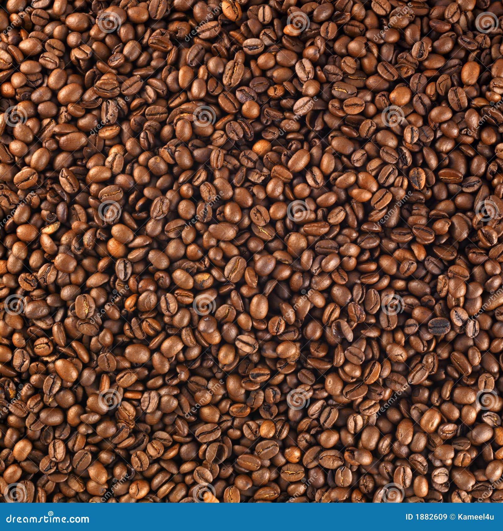 Fresh roasted coffee beans stock image. Image of background 1882609