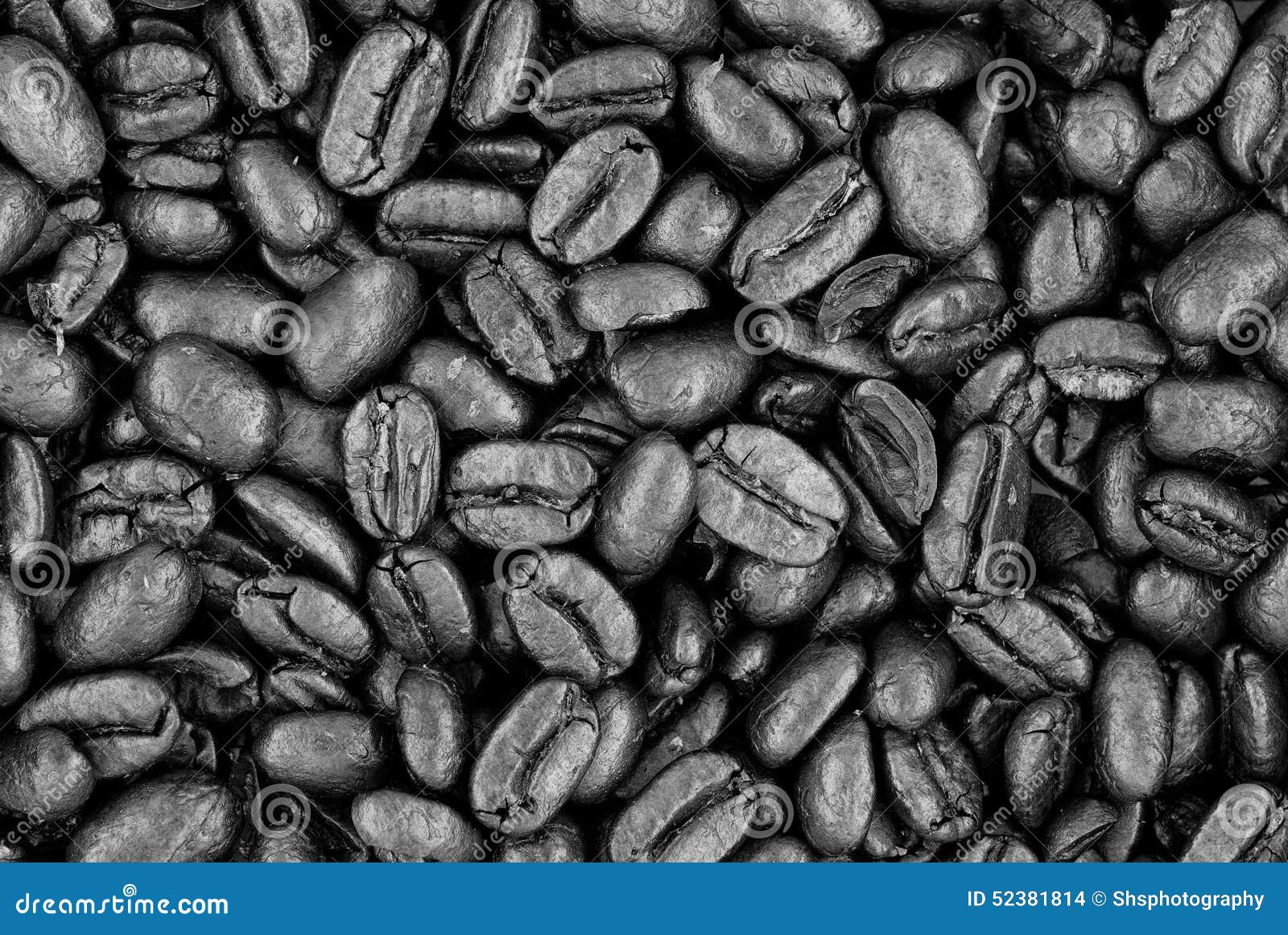 Fresh Roasted Coffee  Beans  Black  And White Stock Photo 