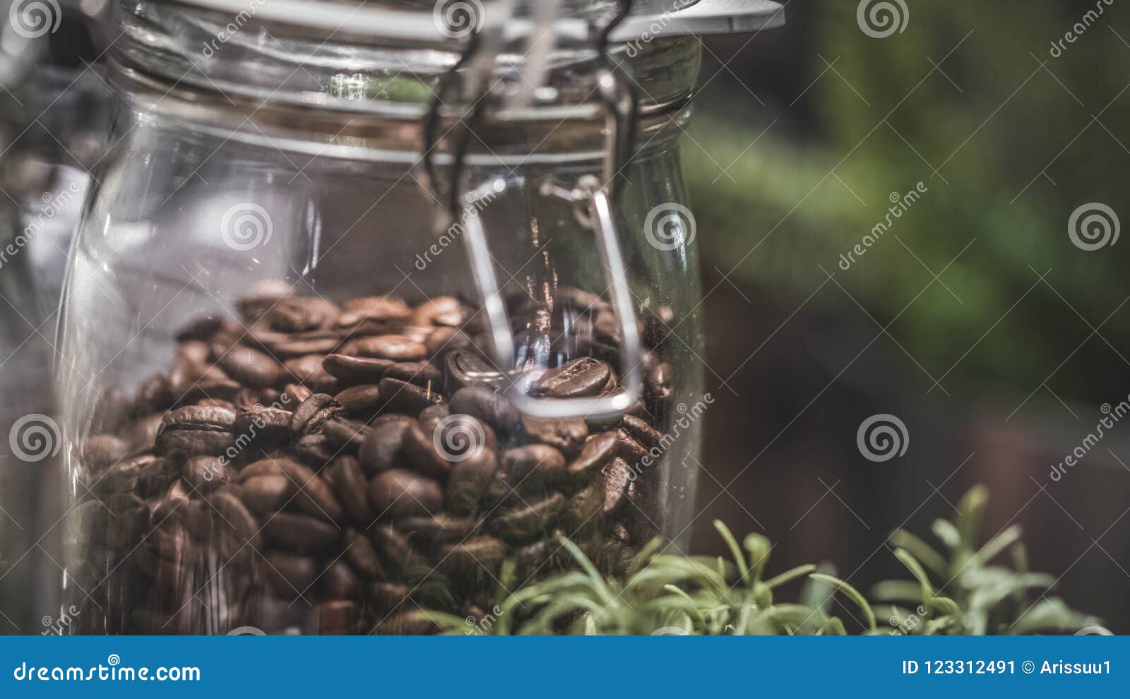 fresh-roasted-coffee-grain-photo-fresh-roasted-natural-organic-coffee-grain-food-material-ingredient-photo-123312491.jpg