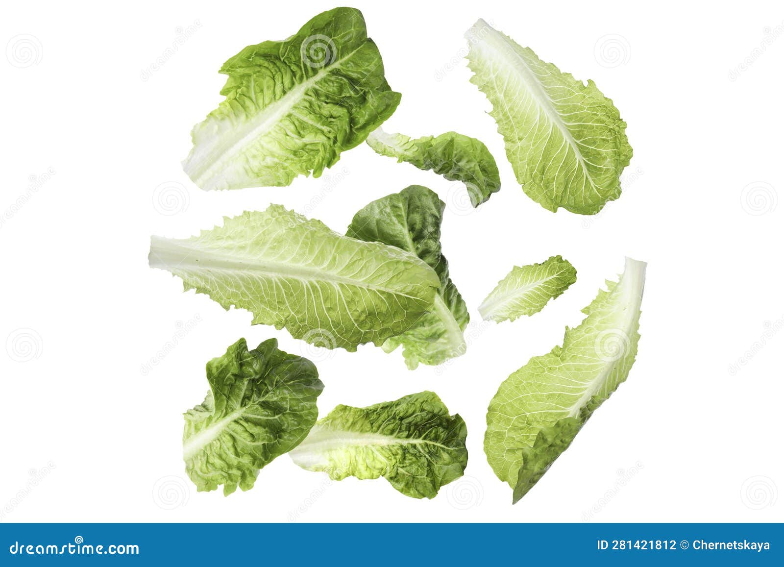 Fresh Romaine Lettuce Leaves Falling on White Background Stock Photo