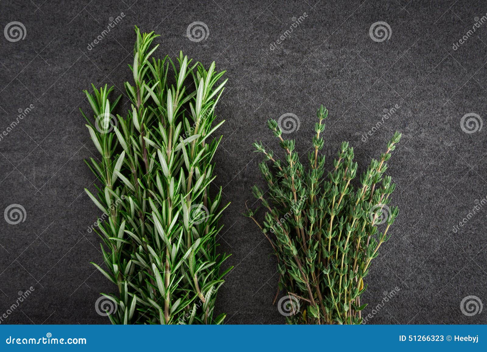 Fresh Rosemary Thyme Herbs stock image. Image of grey 51266323