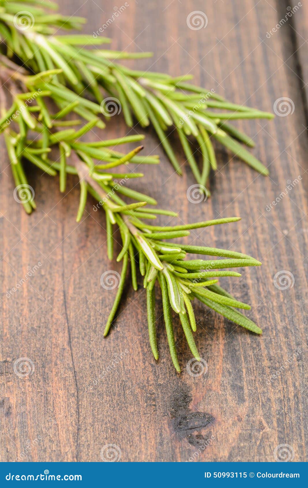 Fresh rosemary stock image. Image of food, fragrant, condiment 50993115