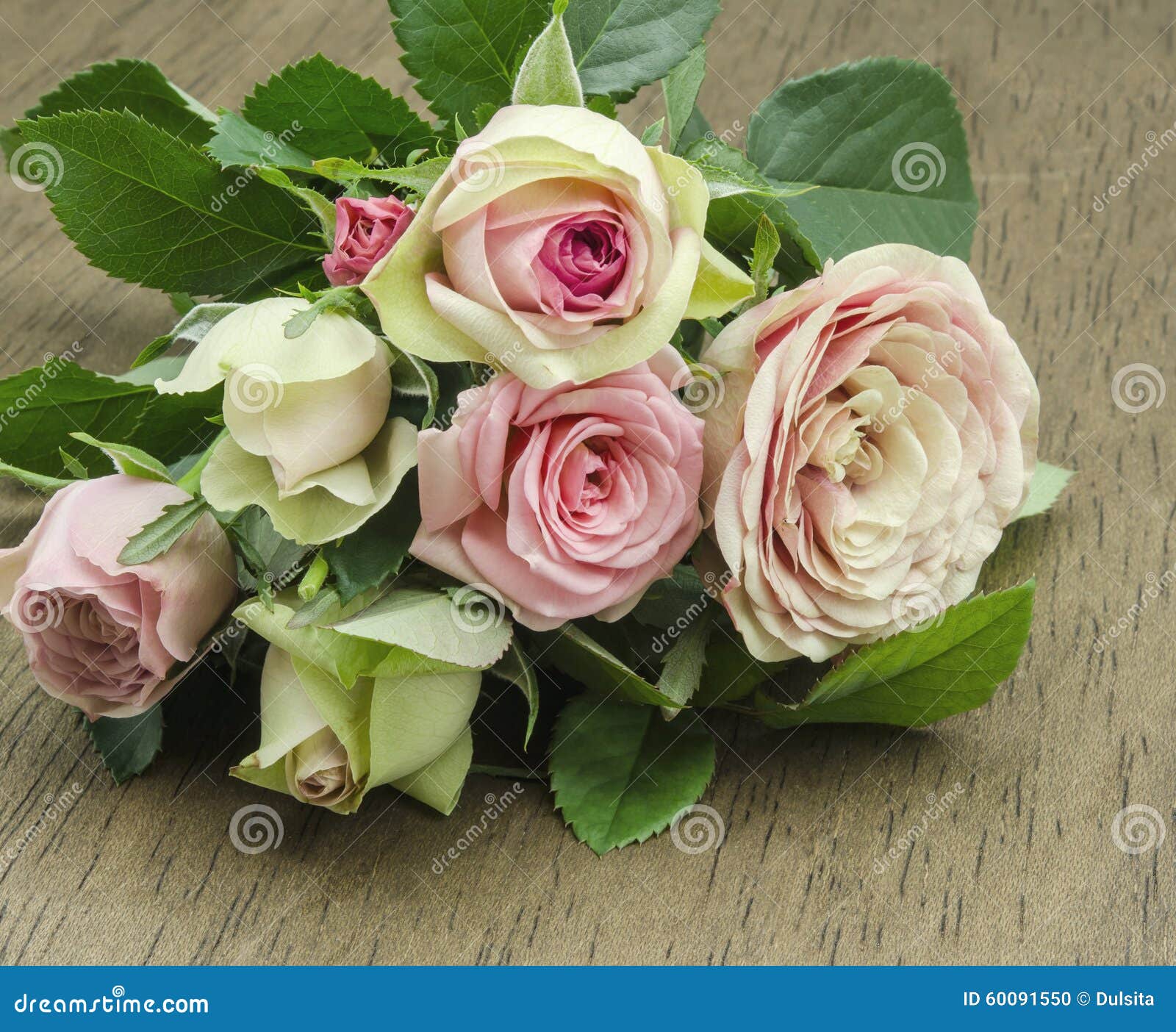 Fresh roses stock photo. Image of fresh, happiness, bridal 60091550