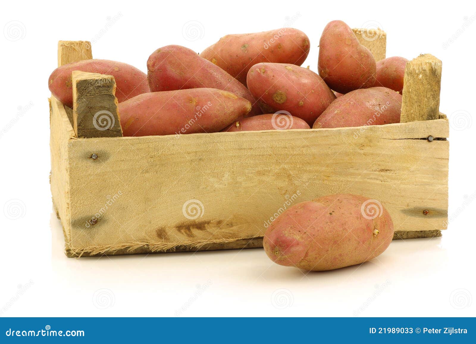 Whole Roseval potatoes stock photo. Image of uncooked - 15735456