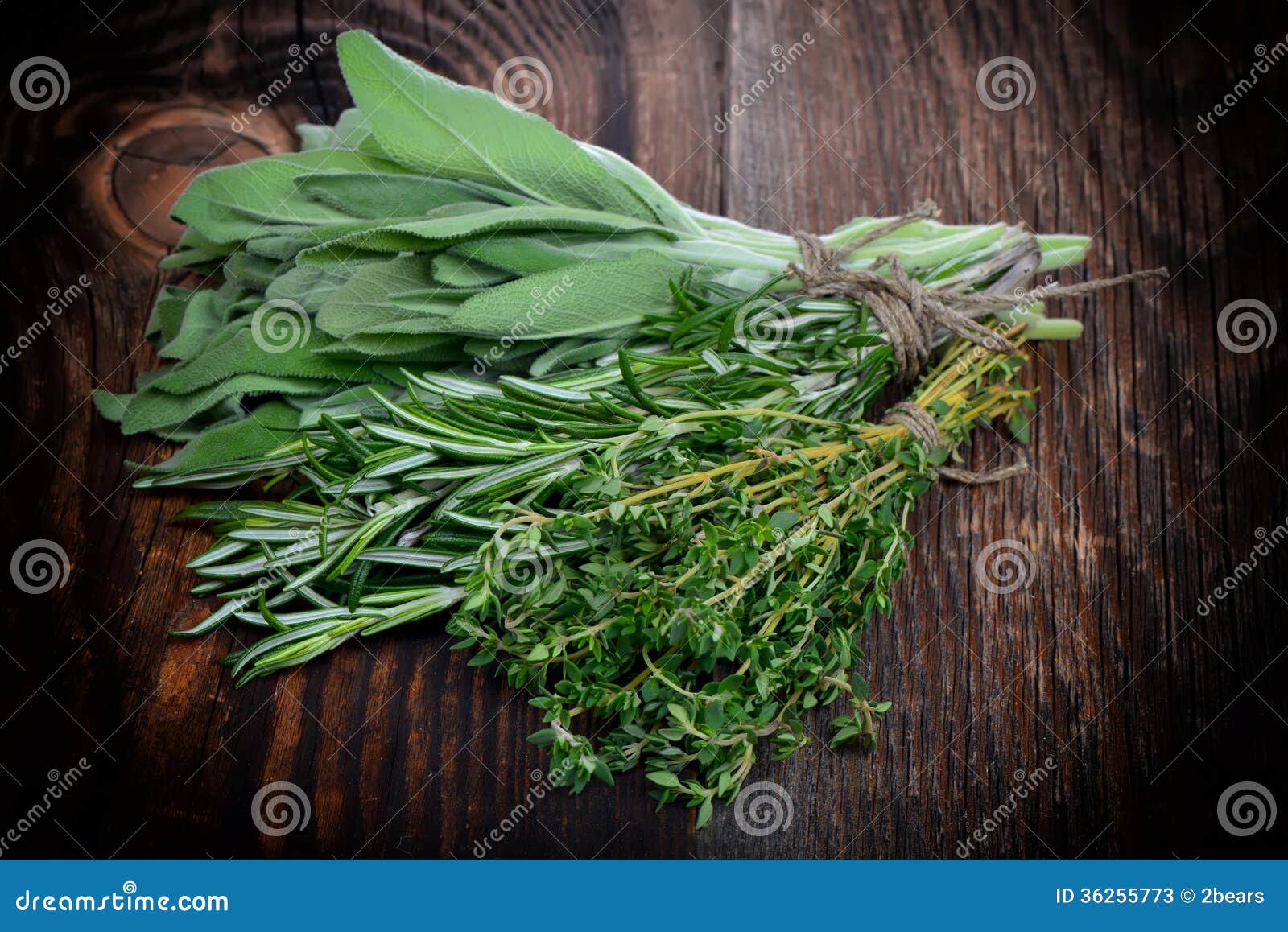 Fresh sage leaves stock image. Image of bunch, nature 36255773