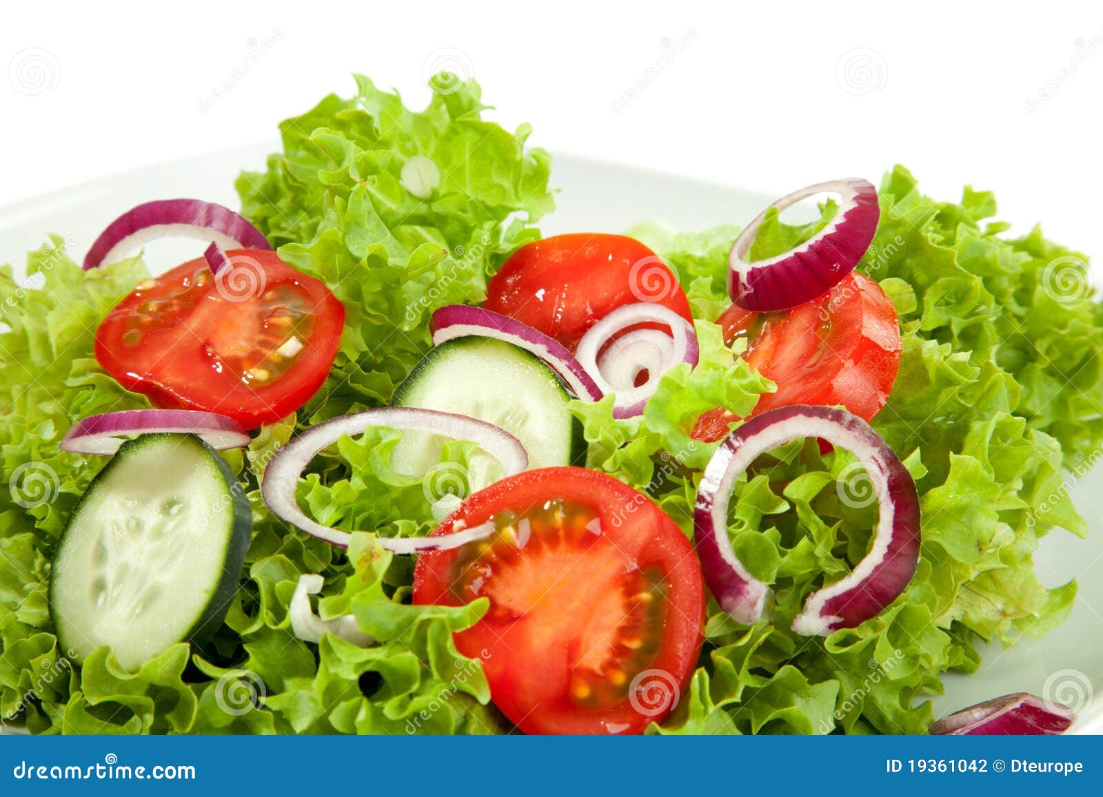 Fresh Salad stock photo. Image of lettuce, leaf, green 19361042