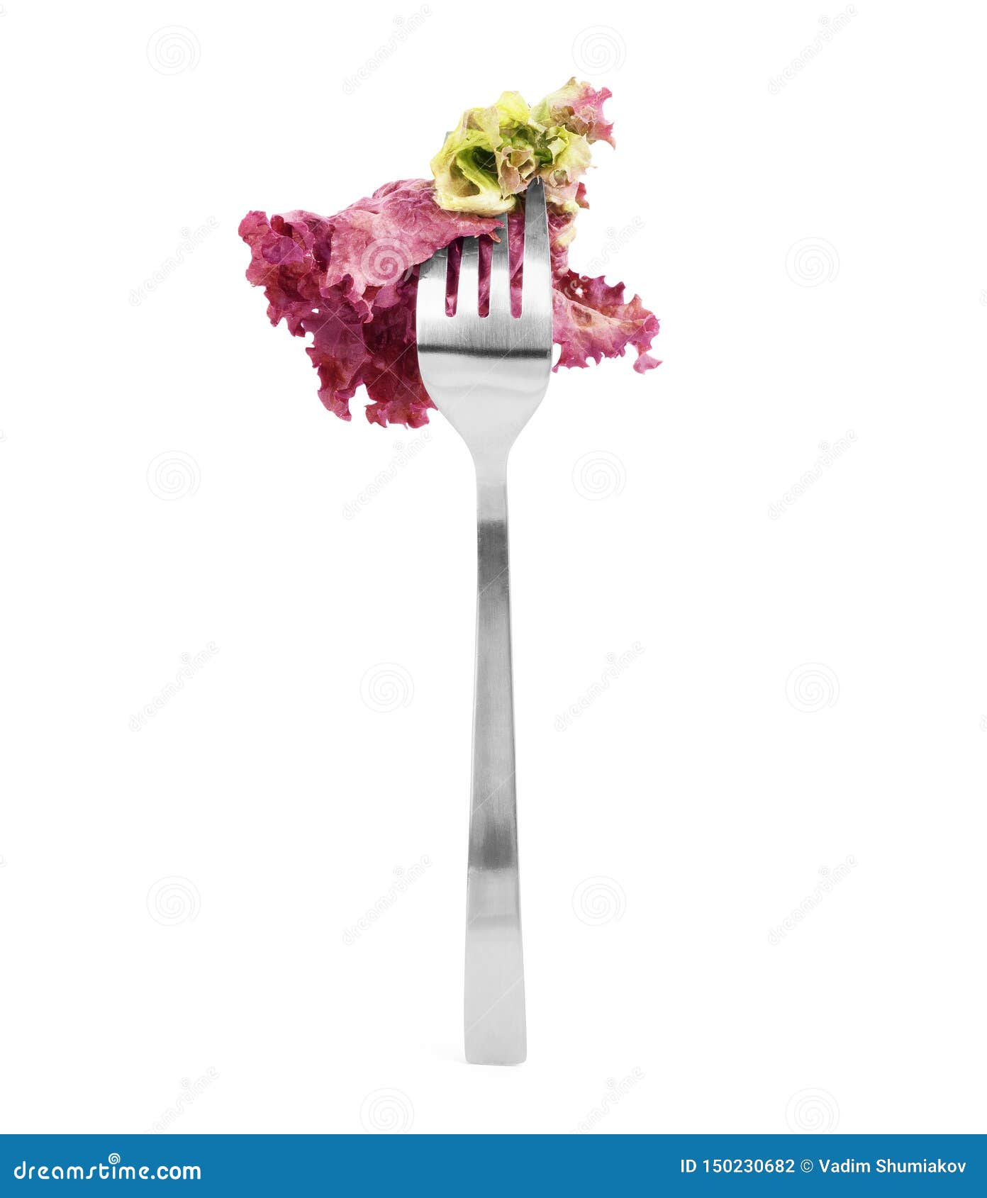 Fresh Salad on Fork on White Background Stock Photo Image of isolated