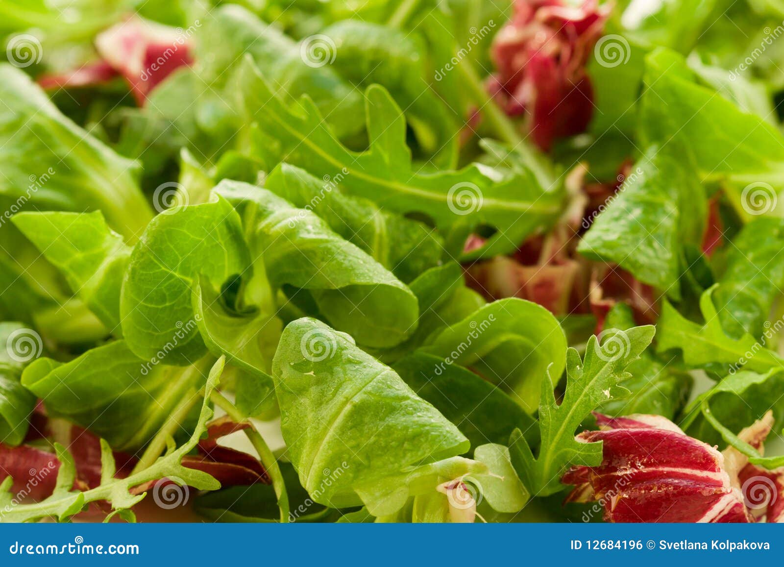 Fresh salad leaves stock photo. Image of endive, leaf 12684196