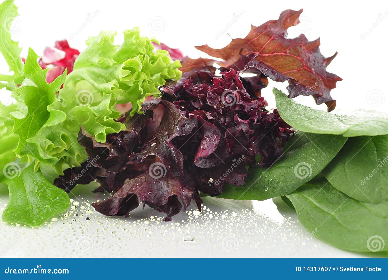 Fresh salad leaves stock image. Image of closeup, vegetable 14317607