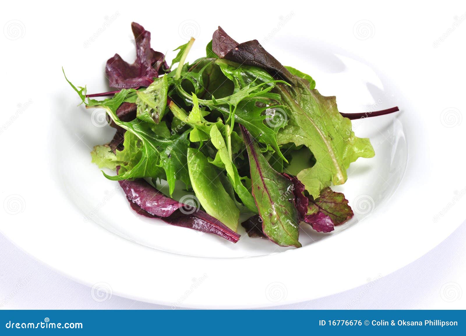 Fresh salad leaves stock photo. Image of healthy, diet 16776676