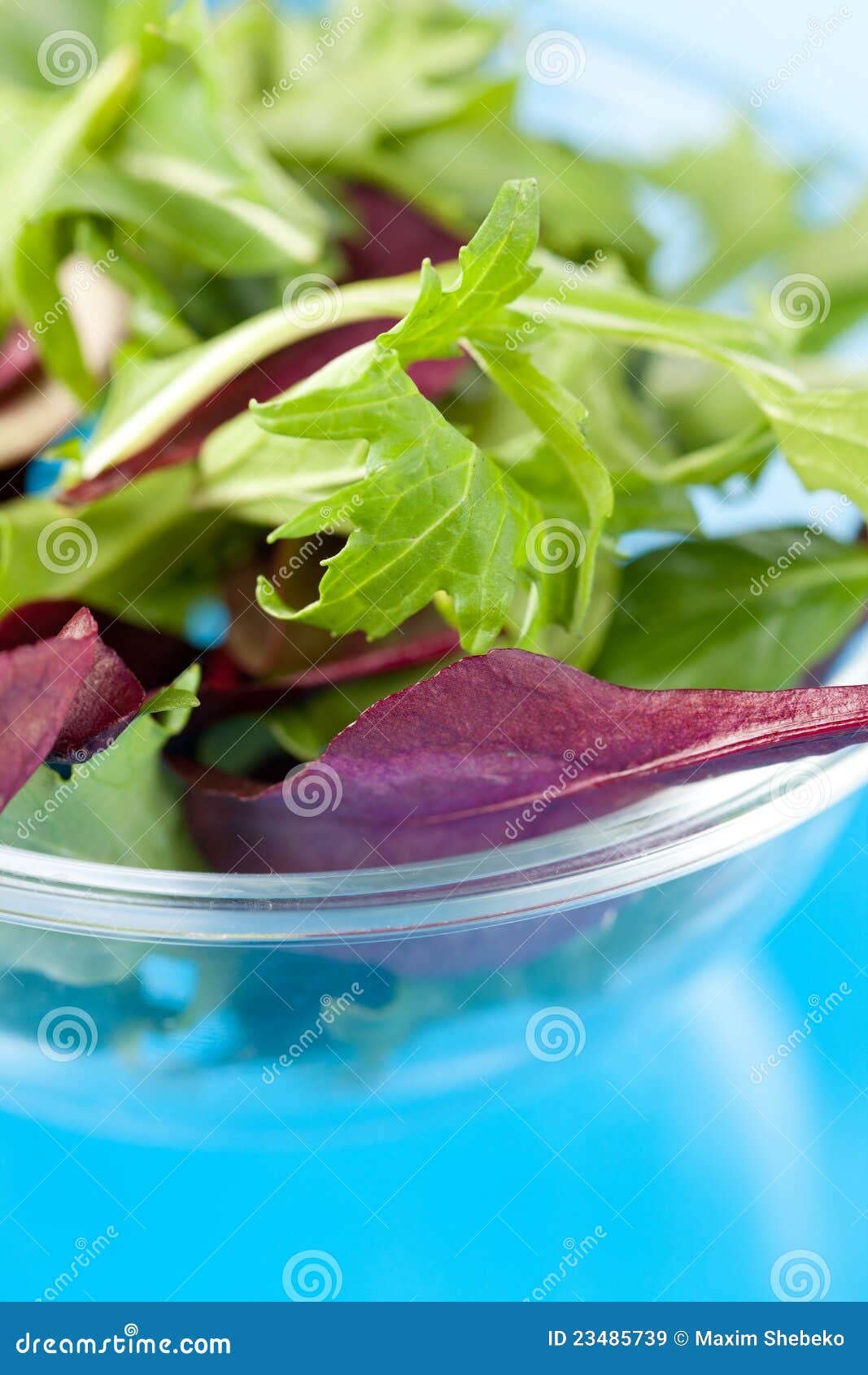 Fresh salad leaves stock image. Image of leaf, roquette 23485739