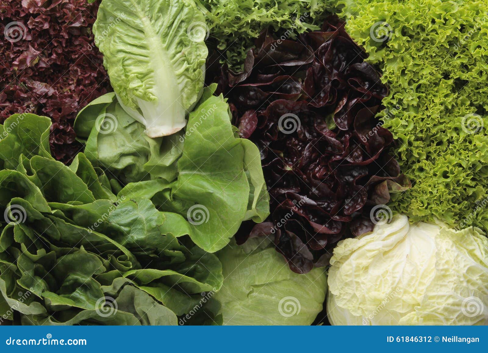 Fresh salad varieties stock photo. Image of varieties 61846312