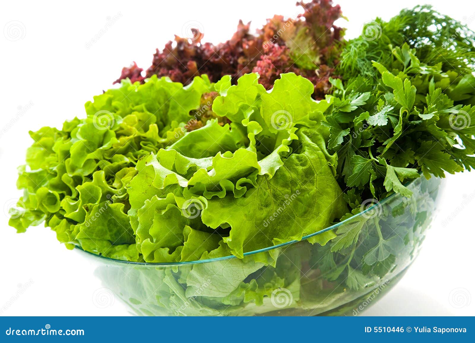 Fresh salads stock photo. Image of dieting, fiber, leaf 5510446