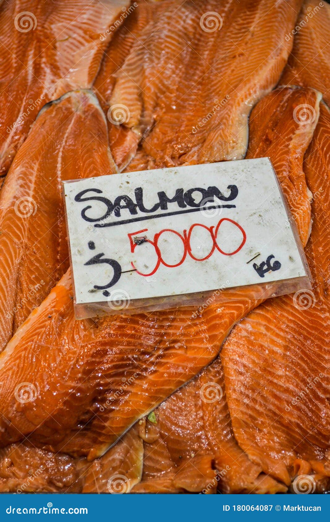 fresh salmon for sale in the mercado central. santiago, chile