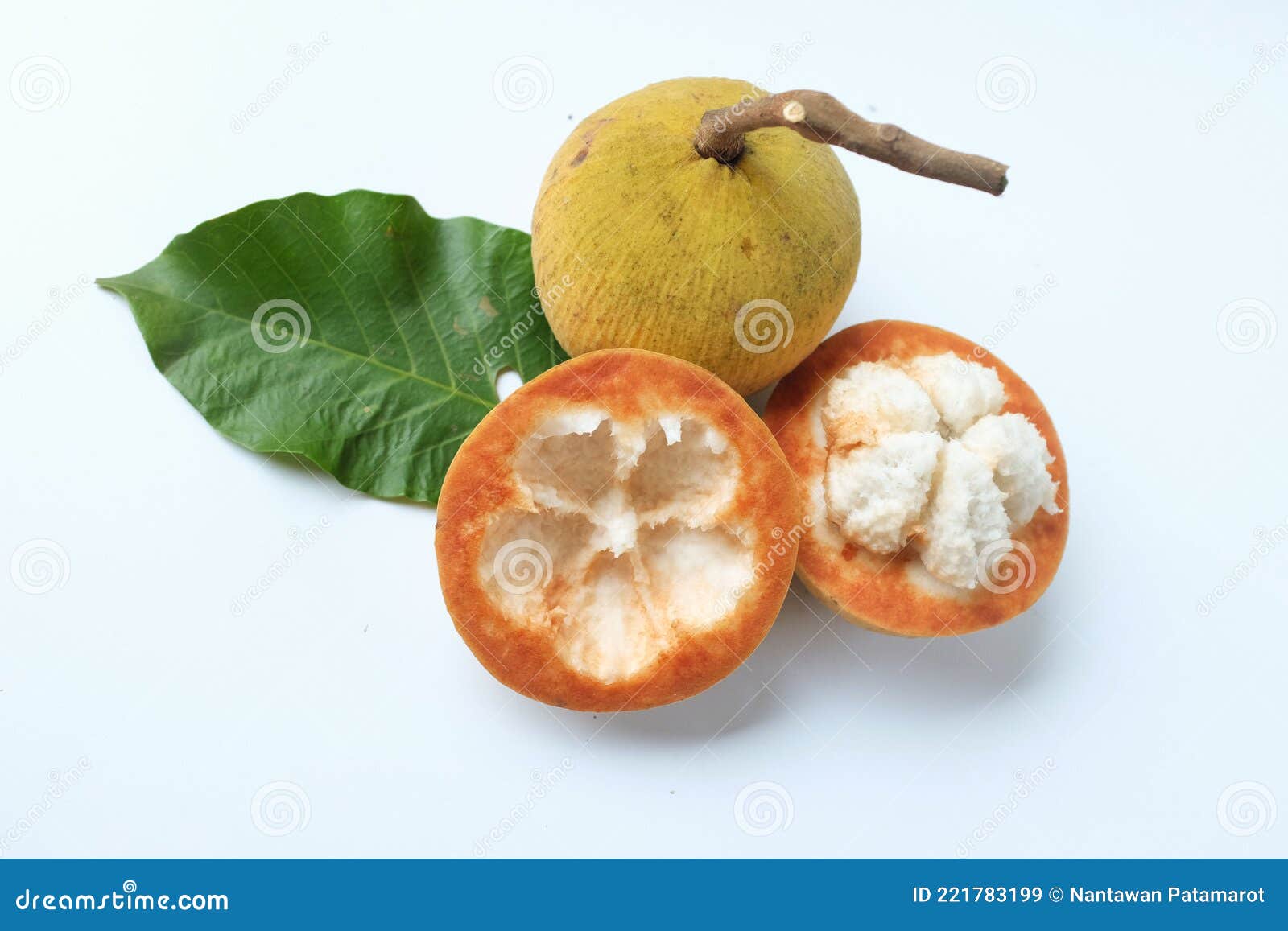 Fresh Santol Fruit, Ripe Santol and Green Santol Leaves Isolate on