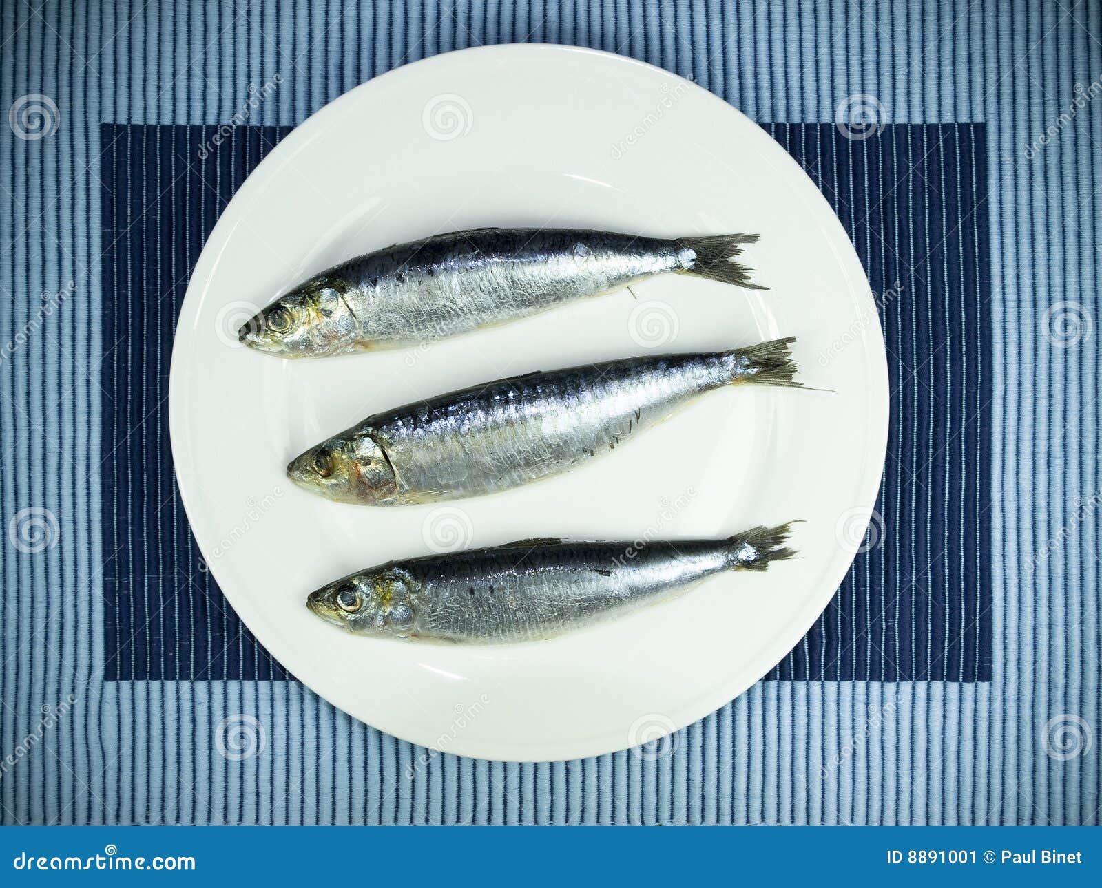 Fresh sardine stock image. Image of dish, studio, seafood 8891001