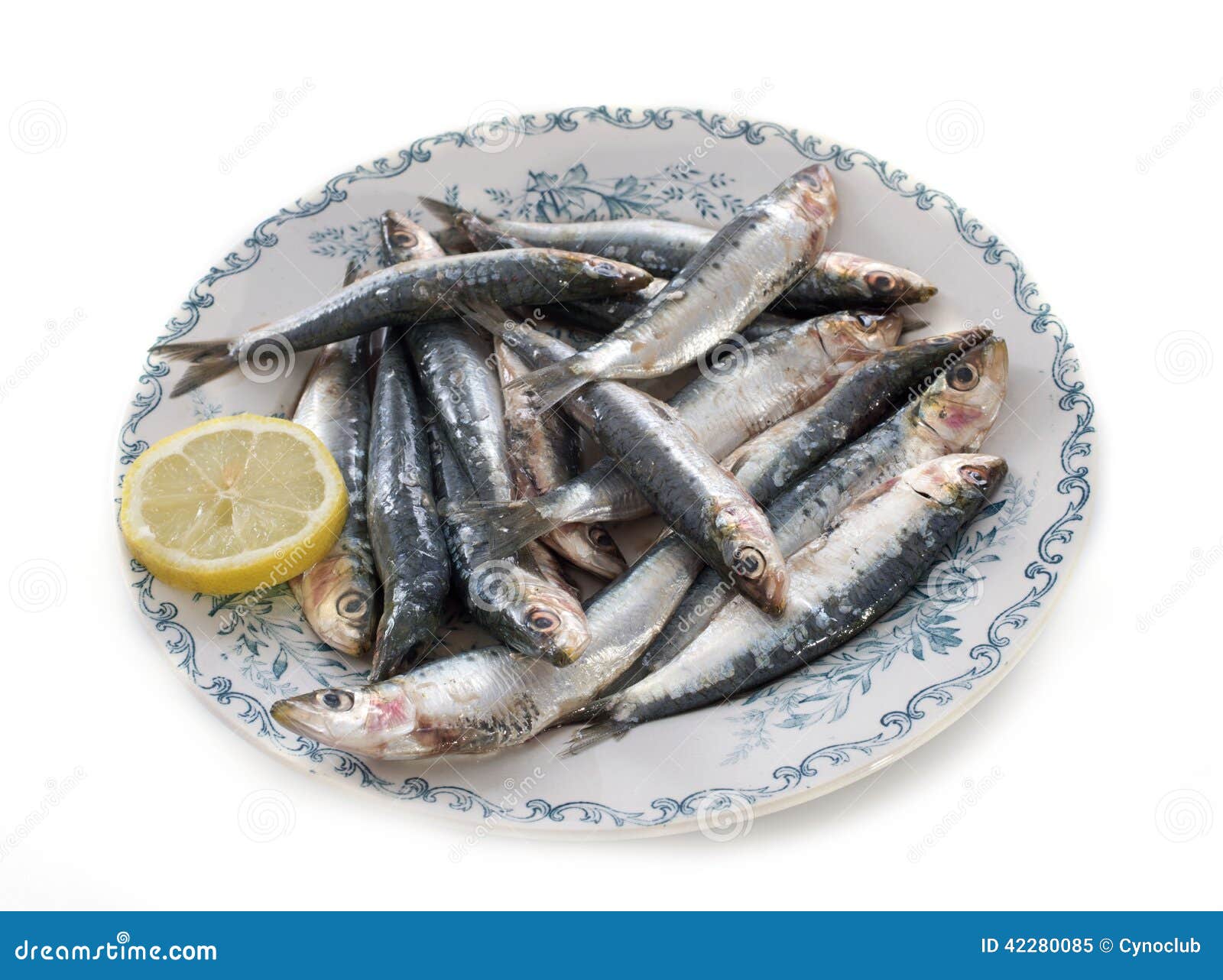 Fresh sardine stock image. Image of eating, white, fresh 42280085