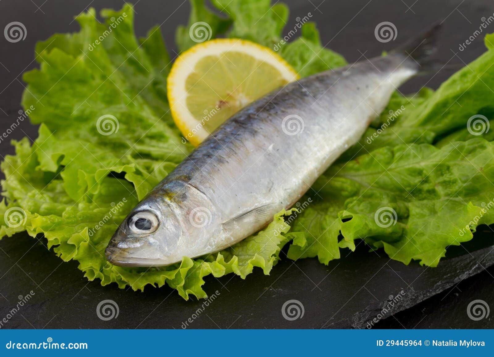Fresh sardine on lettuce stock photo. Image of fish, eating 29445964