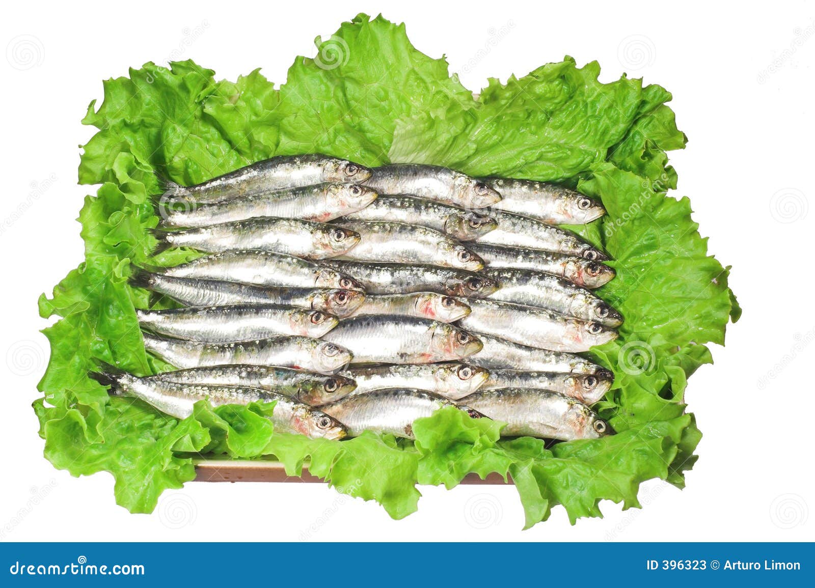Fresh sardines stock image. Image of thin, sardinas, health 396323