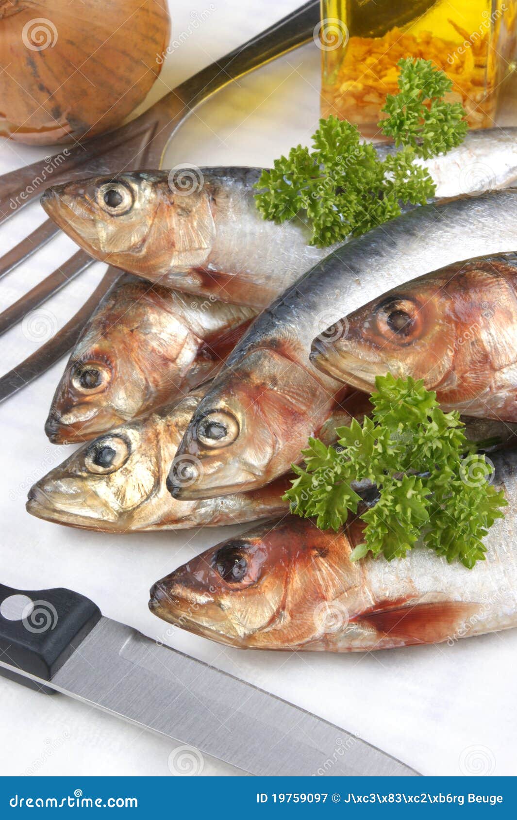 Fresh Sardines before Cooking As Food Stock Image Image of head