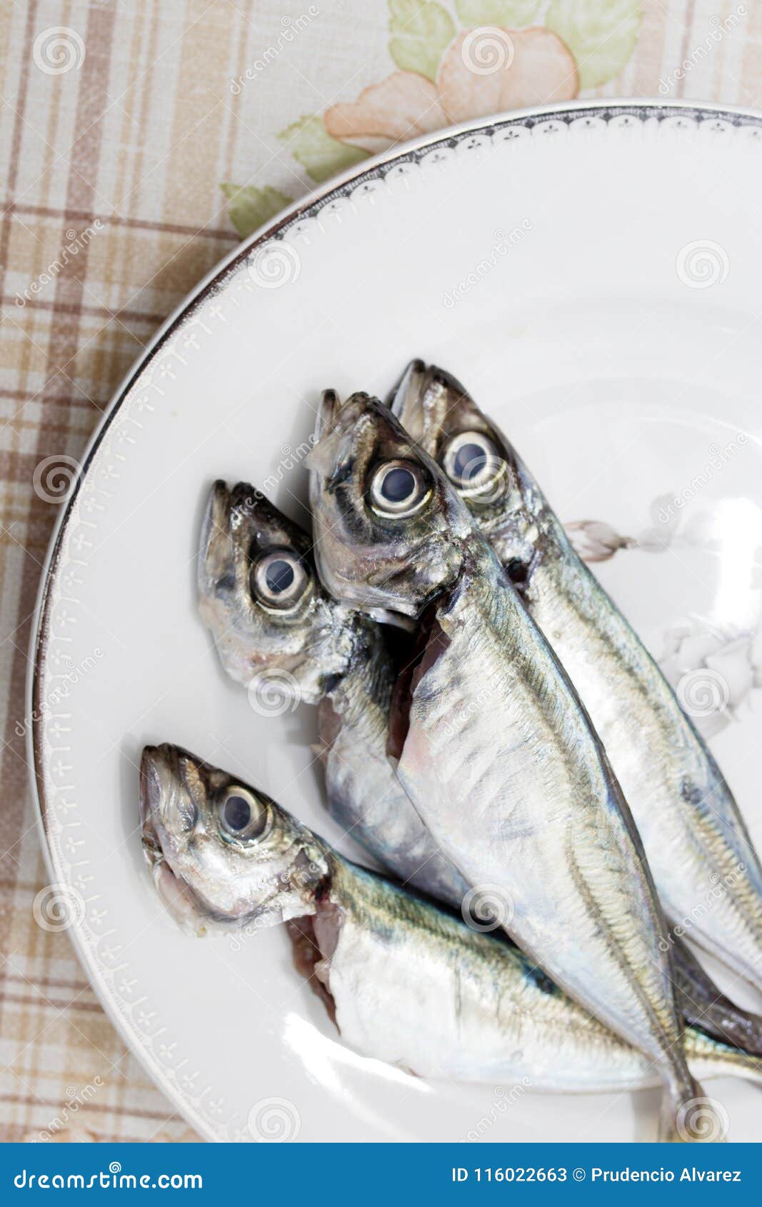 Fresh sardines or mackerel stock image. Image of fishmonger 116022663