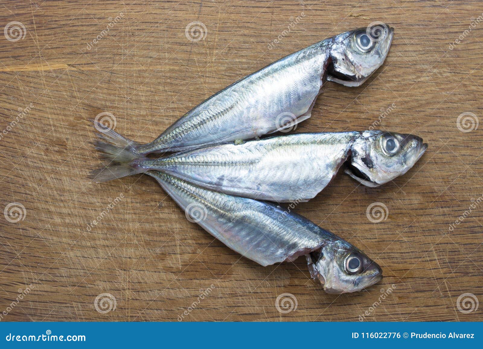 Fresh sardines or mackerel stock photo. Image of diet 116022776