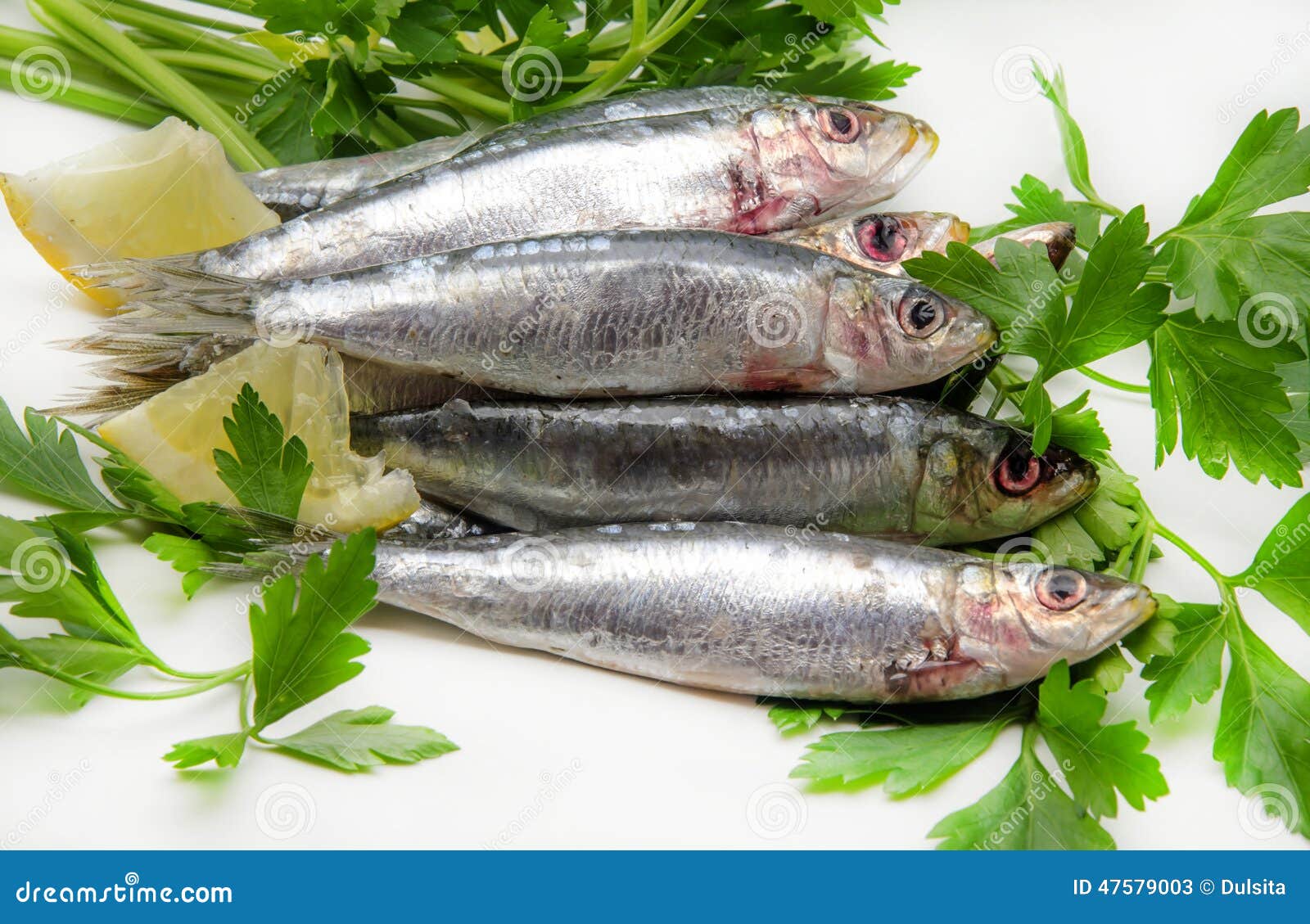 Fresh sardines stock image. Image of nutrition, silverfish 47579003