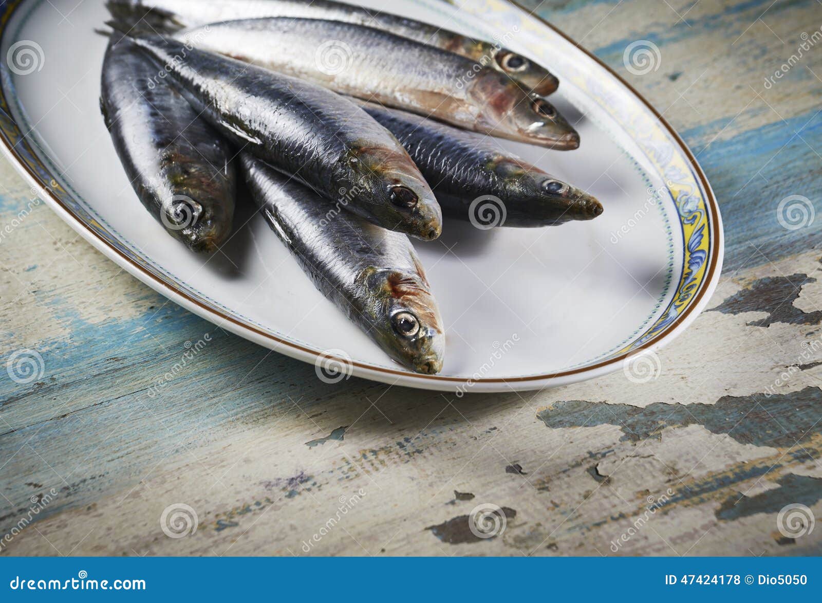 Fresh sardines stock photo. Image of seafood, eating 47424178