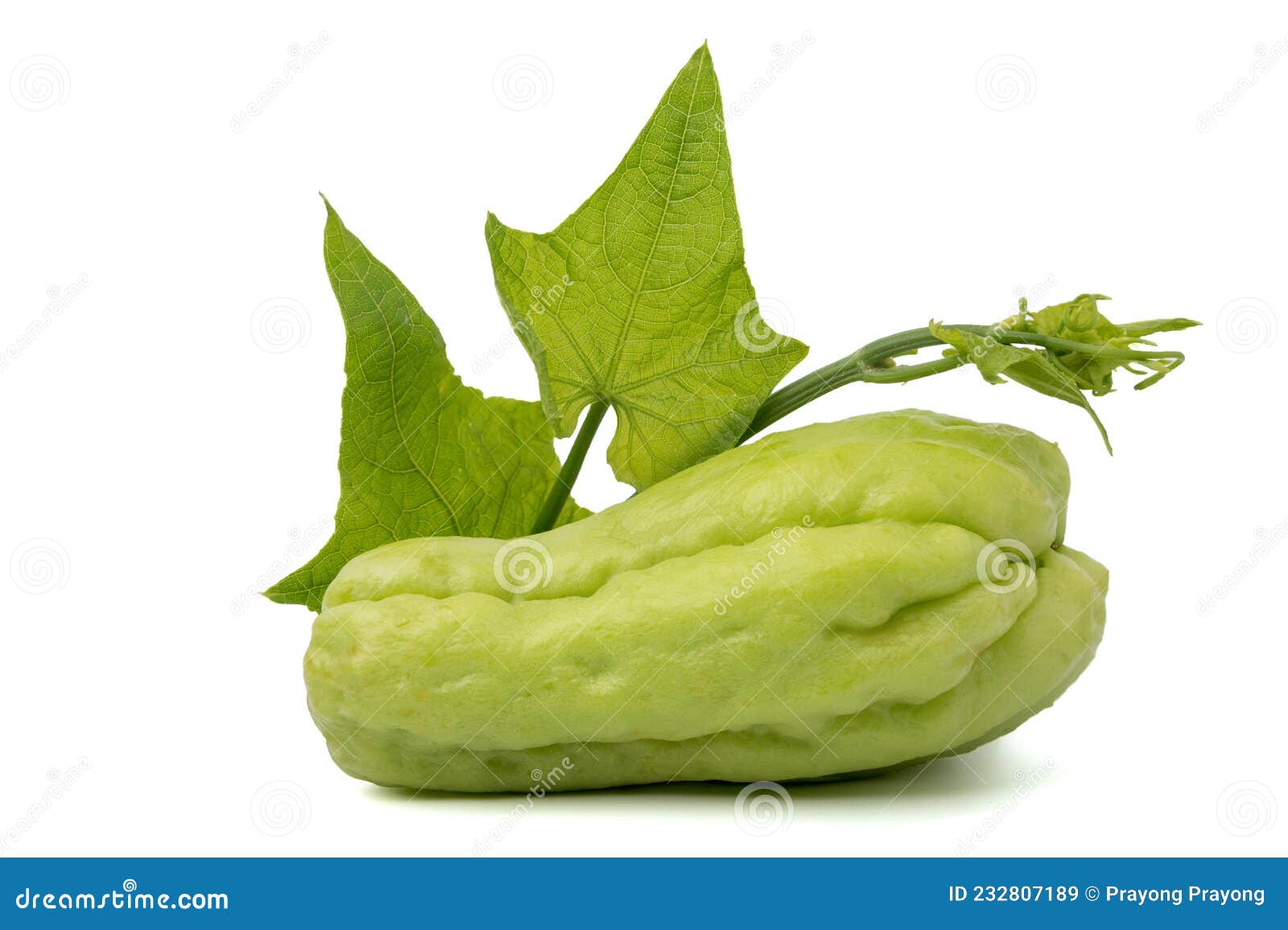Fresh Sayotes Rich in Vitamins Stock Image Image of fruit, market