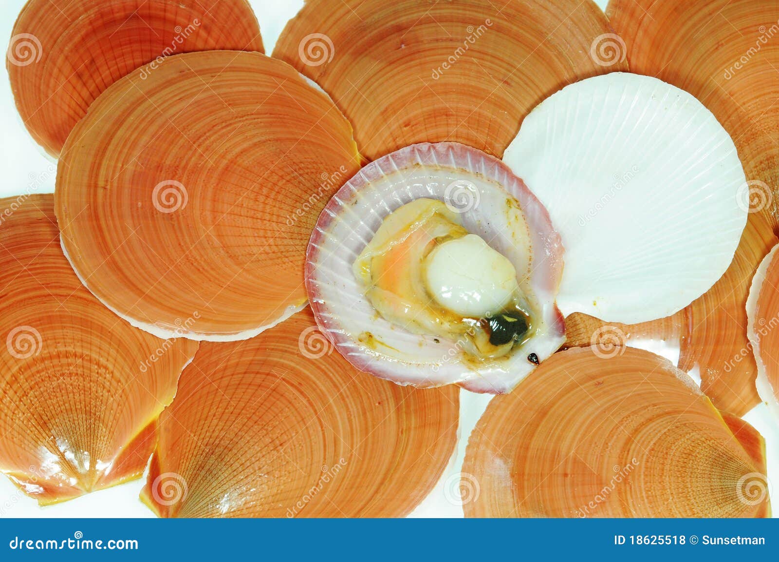 Fresh Scallop stock photo. Image of soup, chinese, culinary 18625518