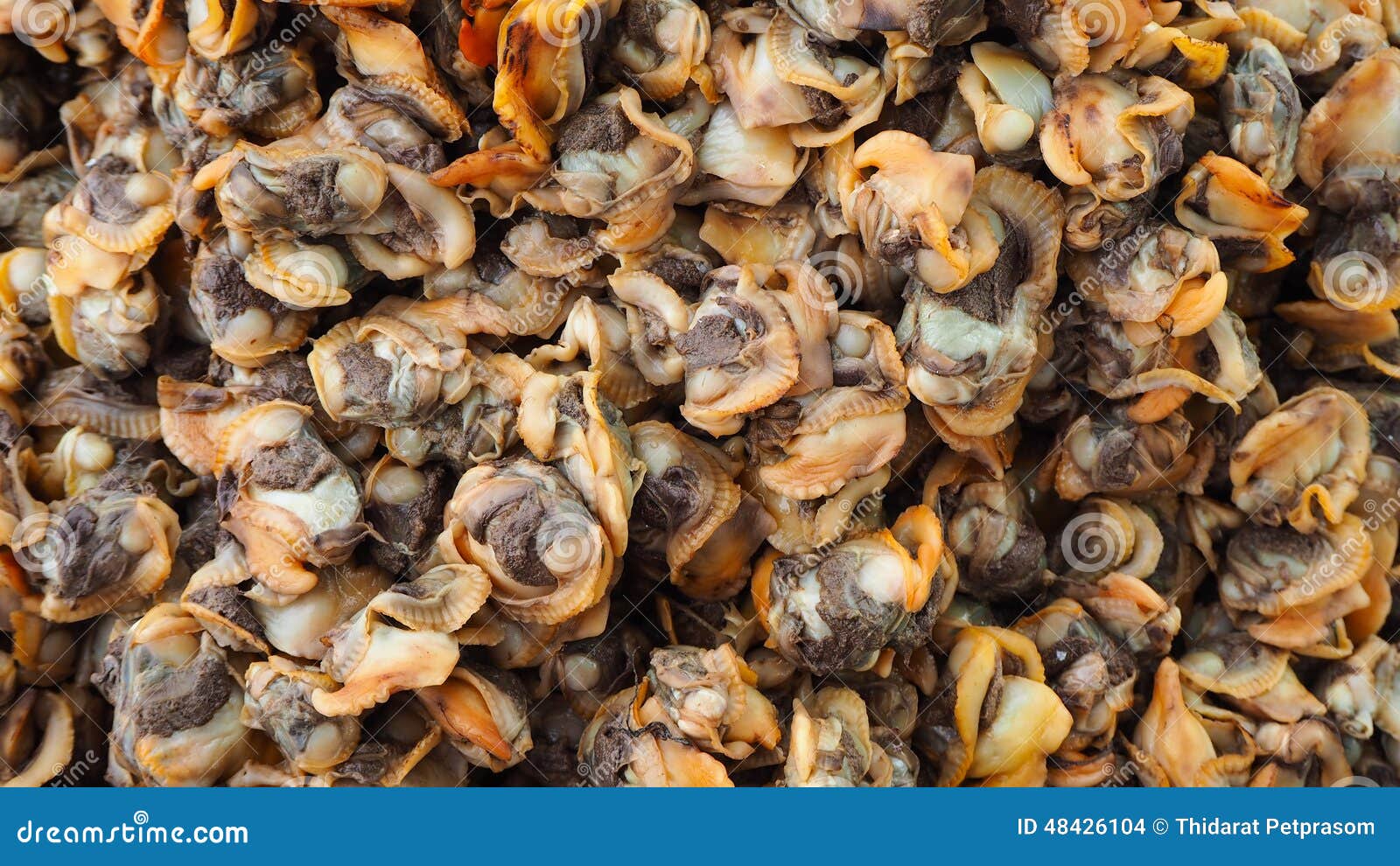 Fresh scallop meat editorial stock image. Image of background 48426104