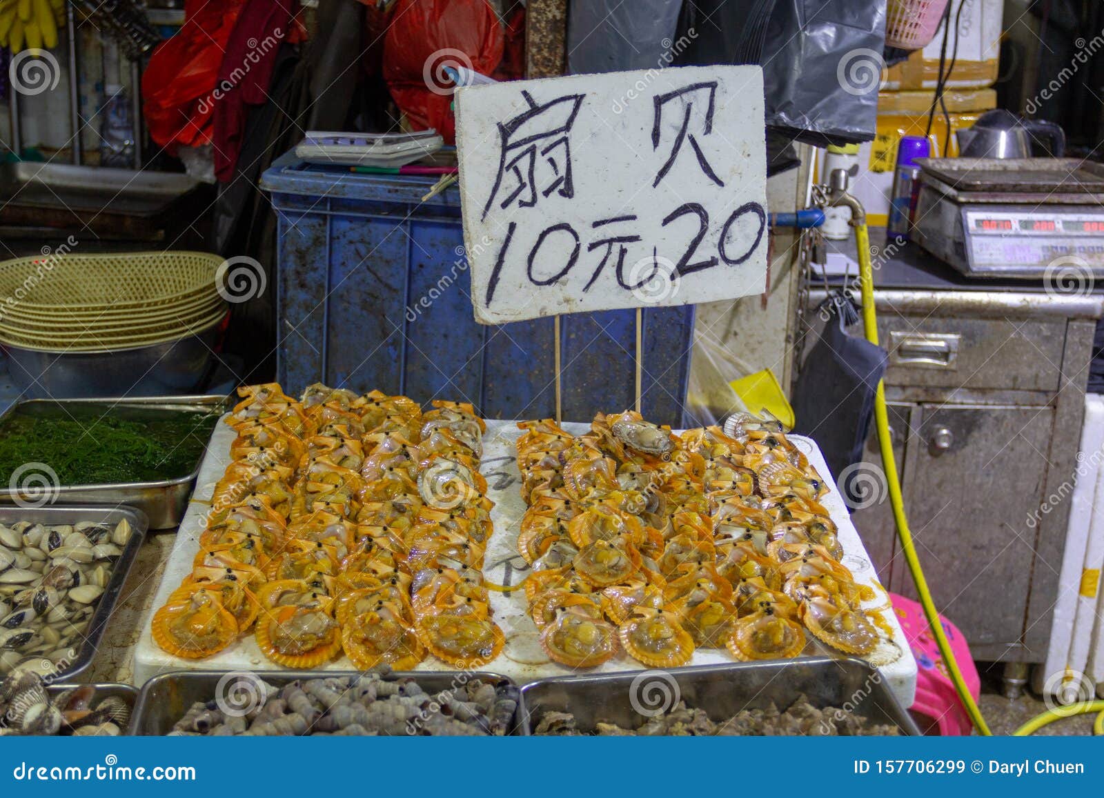 Fresh Scallops for Sale in a Chinese Market Stock Image Image of